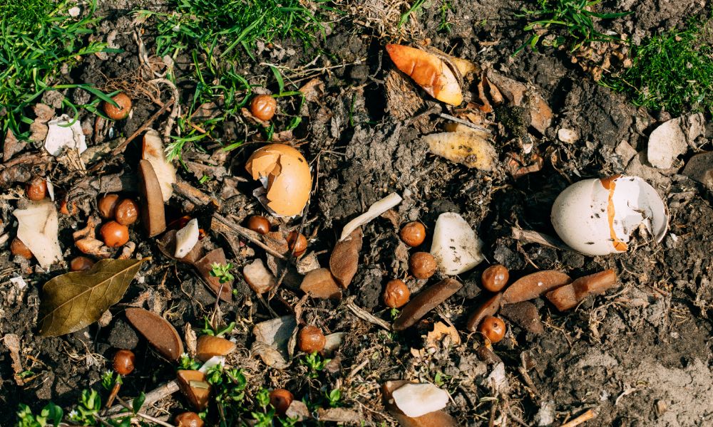 Ce poți și ce nu poți să pui în compostul pentru grădină